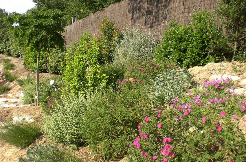 Jardins jardin, paysagistes, paysagiste, architecte paysagiste ... Jardin Mediteraneen désign