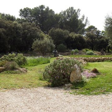 Pertuis - 1 an après aménagement d'un jardin méditerranéen