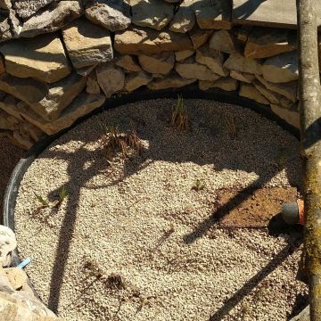 Rognes - Projet création piscine naturelle