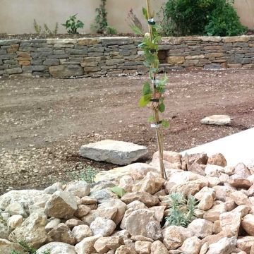 La Roque d'Anthéron - Aménagement des abords d'une piscine - après