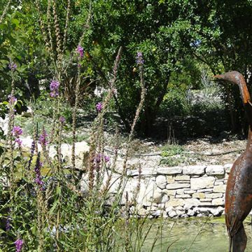Lagunage bassin Aix en Provence