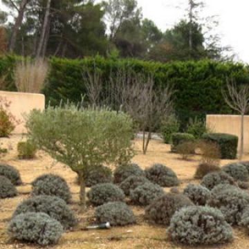 Aménagement d'une allée style provençal à Aix-en-Provence - Avant