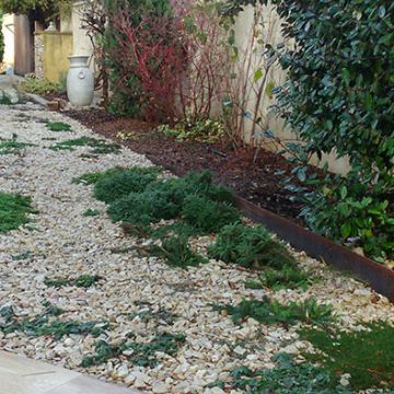 Aménagement d'un parterre en alternative au gazon - Puyricard