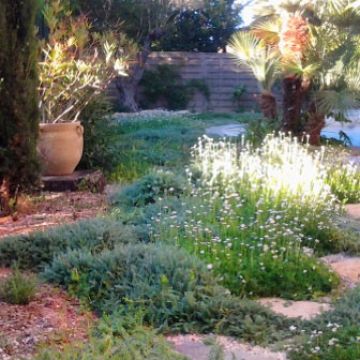 1 an après l'aménagement d'un parterre en alternative au gazon aux abords d'une piscine - Rognes