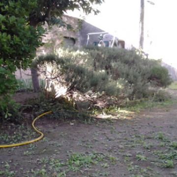 Avant aménagement d'un jardin et la construction de murets en pierre sèche - Aix-en-Provence