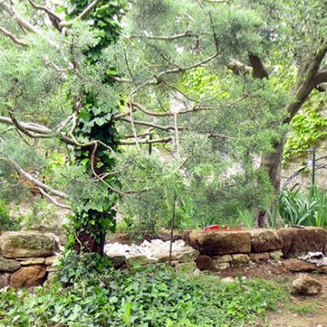 Aménagement en cours d'un jardin et la construction de murets en pierre sèche - Aix-en-Provence